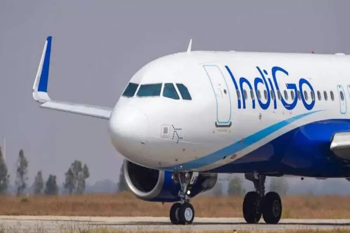 2478218-indigo-flight